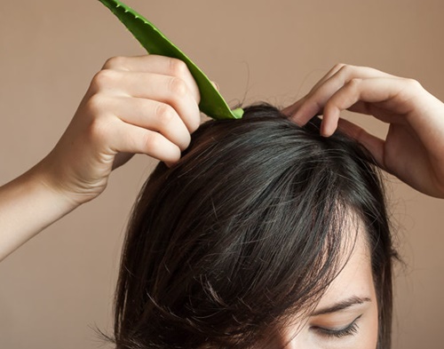 Xoa nha đam lên tóc 5 phút, ai làm cũng khen nức nở