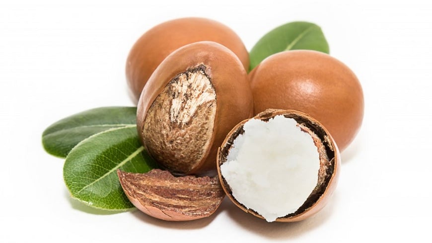 Bơ hạt mỡ shea butter - 5 lợi ích với làn da và lưu ý khi sử dụng