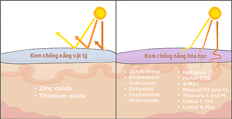 Kem chống nắng hoá học là gì? Và những điều cần biết về loại kem này